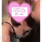 ヒメ日記 2025/08/10 14:47 投稿 スウ♡イチャイチャしましょ♡ ドMなバニーちゃん 名古屋・池下店