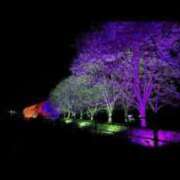 ヒメ日記 2025/06/17 15:59 投稿 Sora【そら】～八代櫻華～ 九州熟女　熊本店