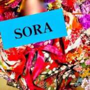 ヒメ日記 2025/06/19 14:29 投稿 Sora【そら】～八代櫻華～ 九州熟女　熊本店