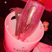 ヒメ日記 2026/03/10 20:08 投稿 はつね 神田はっち