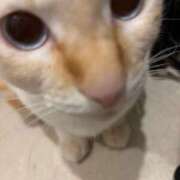 ヒメ日記 2025/09/16 19:47 投稿 さや マリン宮殿雄琴店