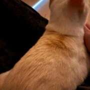 ヒメ日記 2025/09/25 05:07 投稿 さや マリン宮殿雄琴店