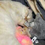 ヒメ日記 2025/10/02 10:50 投稿 さや マリン宮殿雄琴店