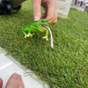 ヒメ日記 2025/10/11 18:27 投稿 さや マリン宮殿雄琴店