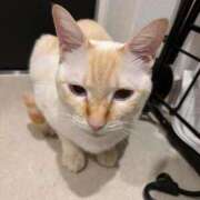 ヒメ日記 2025/10/18 17:27 投稿 さや マリン宮殿雄琴店