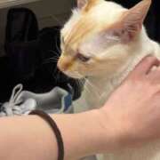 ヒメ日記 2025/10/21 16:07 投稿 さや マリン宮殿雄琴店