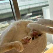 ヒメ日記 2025/10/30 15:33 投稿 さや マリン宮殿雄琴店