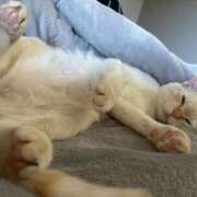 ヒメ日記 2025/11/05 12:24 投稿 さや マリン宮殿雄琴店