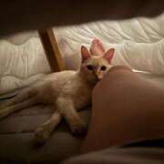 ヒメ日記 2025/11/09 15:21 投稿 さや マリン宮殿雄琴店