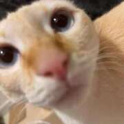 ヒメ日記 2025/11/21 00:00 投稿 さや マリン宮殿雄琴店