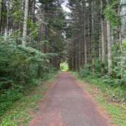 ヒメ日記 2025/08/03 16:44 投稿 ありす INFINITY GOLD～インフィニティゴールド～