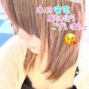 ヒメ日記 2025/08/26 23:15 投稿 平真凛 プルデリR40滋賀店