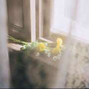 ヒメ日記 2025/06/20 09:24 投稿 櫻塚りち ワイフコレクション