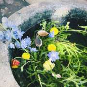 ヒメ日記 2025/06/21 14:57 投稿 櫻塚りち ワイフコレクション