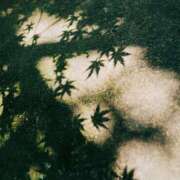 ヒメ日記 2025/06/28 18:08 投稿 櫻塚りち ワイフコレクション