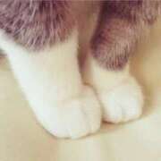 ヒメ日記 2025/06/30 00:31 投稿 櫻塚りち ワイフコレクション