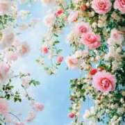 ヒメ日記 2025/07/27 08:22 投稿 櫻塚りち ワイフコレクション