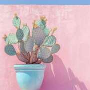 ヒメ日記 2025/08/03 10:22 投稿 櫻塚りち ワイフコレクション