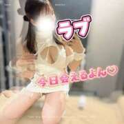 ヒメ日記 2025/12/10 08:01 投稿 多部えみ 華椿