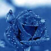 ヒメ日記 2025/06/27 12:06 投稿 あまね 待ちナビ