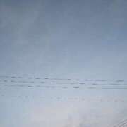 ヒメ日記 2025/07/20 12:07 投稿 あまね 待ちナビ