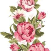 ヒメ日記 2025/08/15 12:35 投稿 あまね 待ちナビ