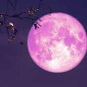 ヒメ日記 2026/01/26 15:12 投稿 あまね 待ちナビ