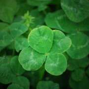 ヒメ日記 2026/02/09 18:13 投稿 あまね 待ちナビ