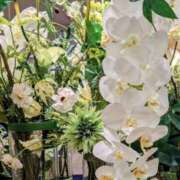 ヒメ日記 2026/02/26 08:16 投稿 あまね 待ちナビ