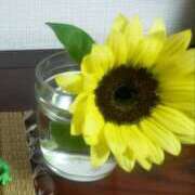 ヒメ日記 2025/07/09 21:29 投稿 めぐ ウルトラハピネス