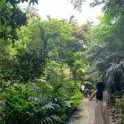 ヒメ日記 2025/08/01 08:40 投稿 めぐ ウルトラハピネス