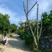 ヒメ日記 2025/08/03 18:11 投稿 めぐ ウルトラハピネス