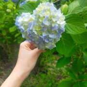 ヒメ日記 2025/09/22 22:10 投稿 めぐ ウルトラハピネス