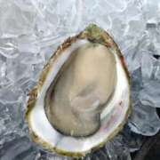 ヒメ日記 2025/09/30 18:19 投稿 めぐ ウルトラハピネス