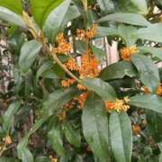 ヒメ日記 2025/10/23 08:09 投稿 めぐ ウルトラハピネス