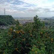 ヒメ日記 2025/10/28 20:11 投稿 めぐ ウルトラハピネス