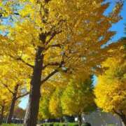 ヒメ日記 2025/11/17 13:10 投稿 めぐ ウルトラハピネス