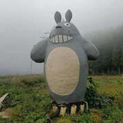 ヒメ日記 2025/11/19 22:30 投稿 めぐ ウルトラハピネス