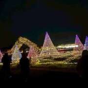 ヒメ日記 2025/11/25 18:11 投稿 めぐ ウルトラハピネス