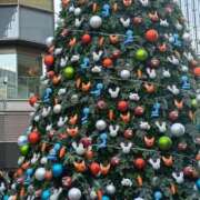 ヒメ日記 2025/12/08 11:39 投稿 めぐ ウルトラハピネス