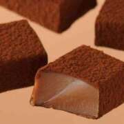 ヒメ日記 2025/12/12 11:09 投稿 めぐ ウルトラハピネス