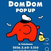 ヒメ日記 2026/02/13 11:09 投稿 めぐ ウルトラハピネス