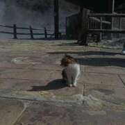 ヒメ日記 2026/02/19 12:29 投稿 めぐ ウルトラハピネス