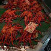 ヒメ日記 2026/03/20 18:49 投稿 めぐ ウルトラハピネス