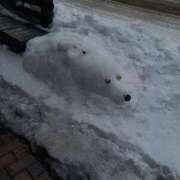 ヒメ日記 2026/03/21 14:09 投稿 めぐ ウルトラハピネス