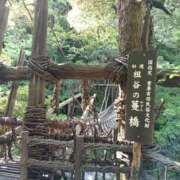 ヒメ日記 2026/05/11 19:22 投稿 めぐ ウルトラハピネス