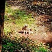 ヒメ日記 2026/06/15 12:21 投稿 めぐ ウルトラハピネス
