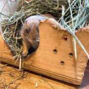 ヒメ日記 2026/03/10 12:12 投稿 まゆ スピードエコ梅田店