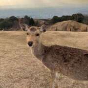 ヒメ日記 2026/03/17 23:52 投稿 まゆ スピードエコ梅田店