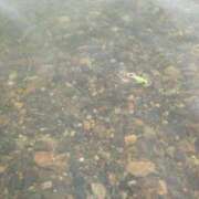 ヒメ日記 2026/03/21 02:40 投稿 まゆ スピードエコ梅田店